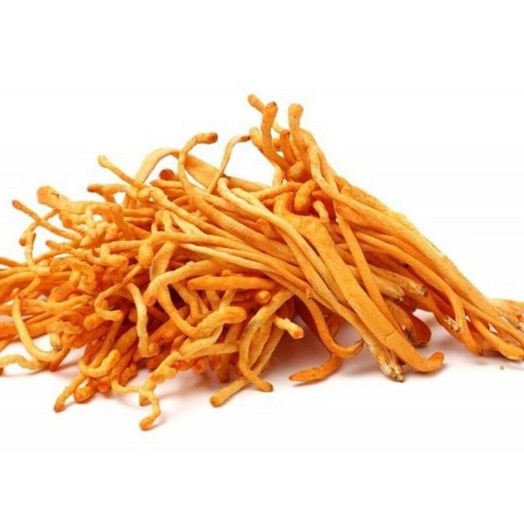 Đông Trùng Hạ Thảo Sấy Thăng Hoa Hiện Đại, An Toàn